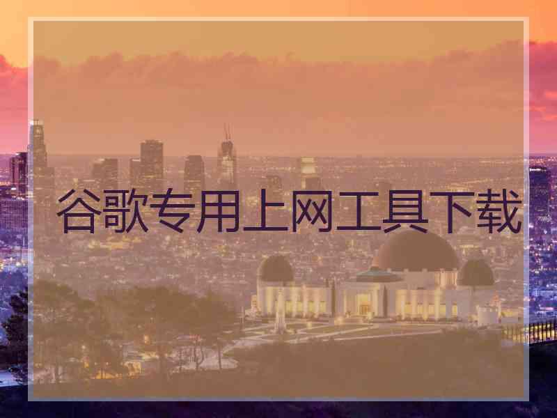 谷歌专用上网工具下载