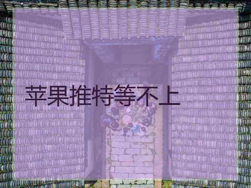 苹果推特等不上
