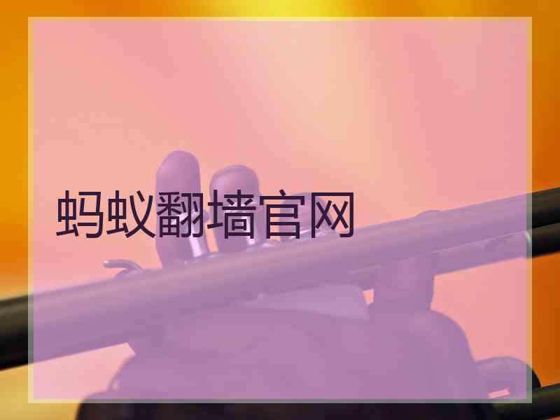 蚂蚁翻墙官网