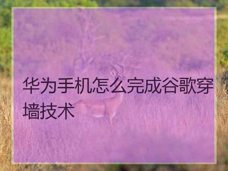 华为手机怎么完成谷歌穿墙技术