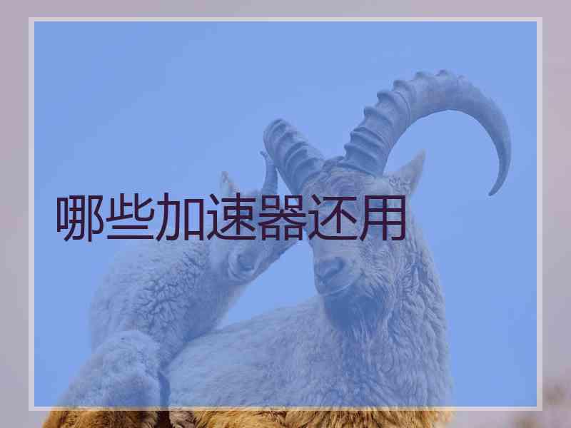 哪些加速器还用