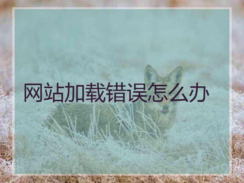 网站加载错误怎么办