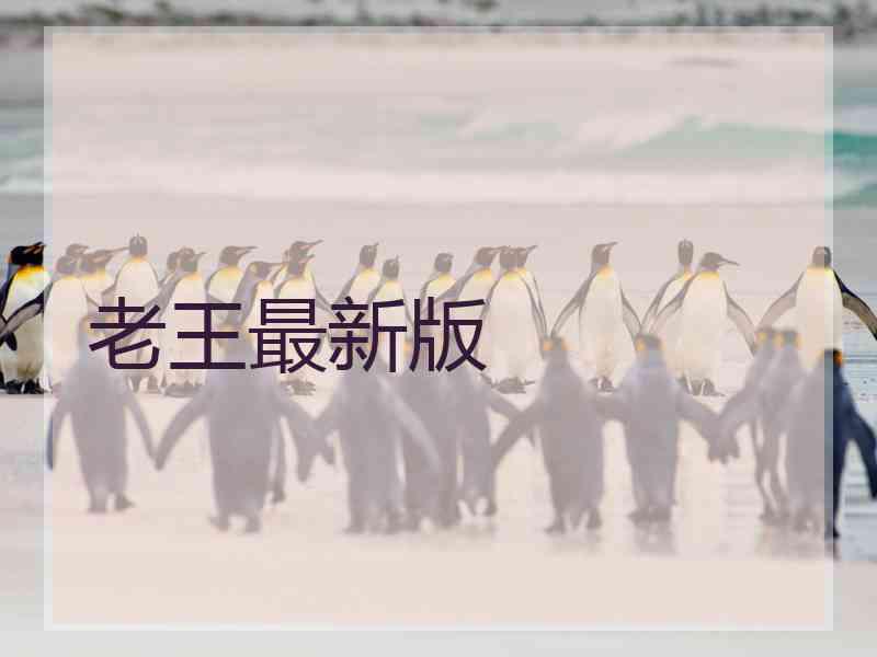 老王最新版