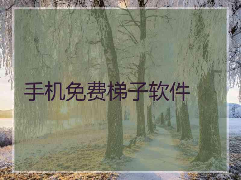 手机免费梯子软件