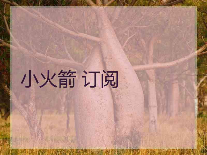 小火箭 订阅