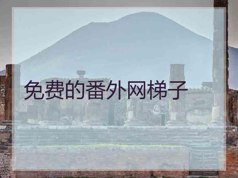 免费的番外网梯子