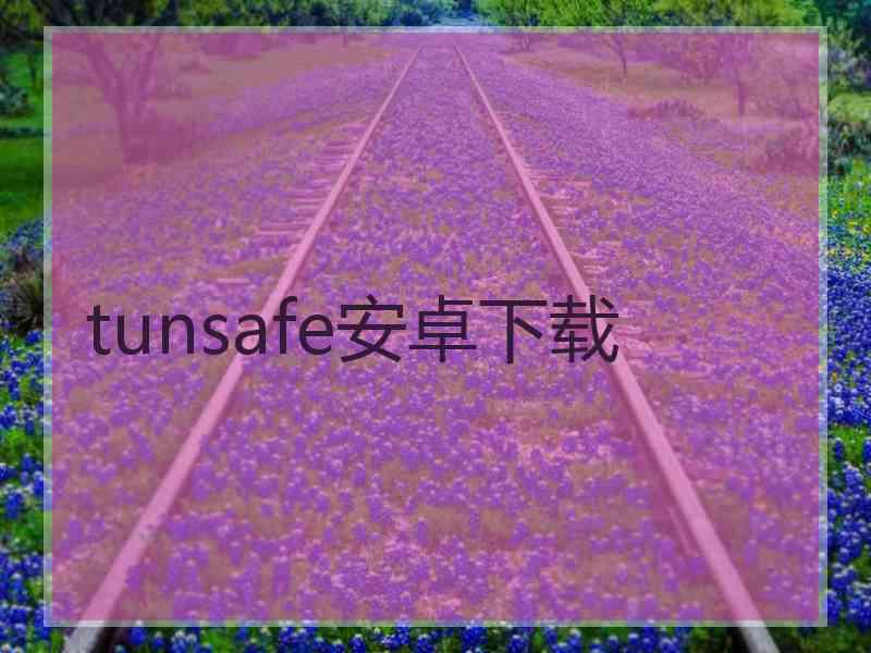tunsafe安卓下载