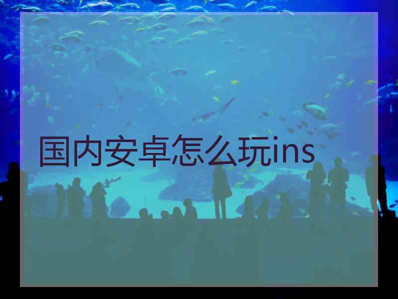 国内安卓怎么玩ins