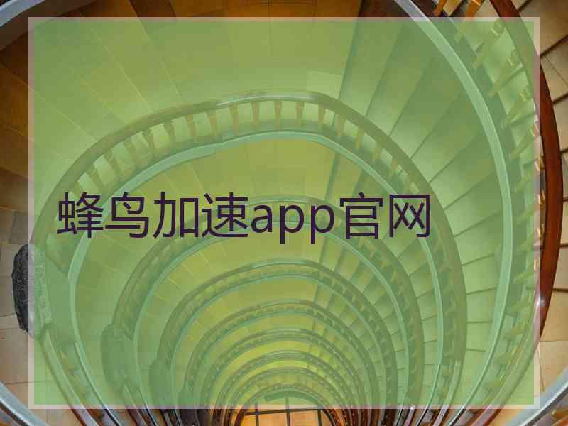 蜂鸟加速app官网