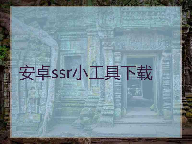 安卓ssr小工具下载