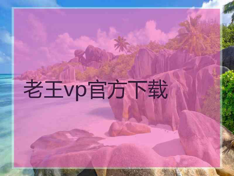 老王vp官方下载