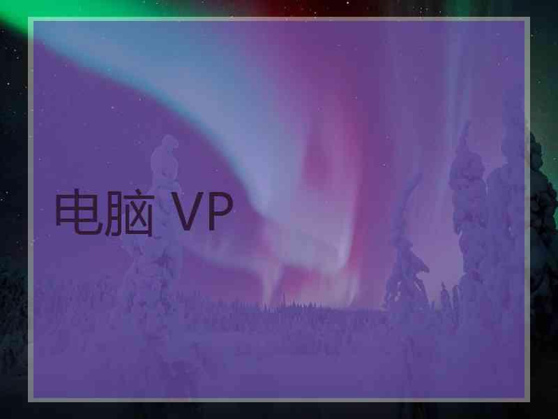 电脑 VP