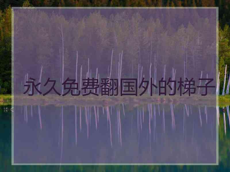 永久免费翻国外的梯子