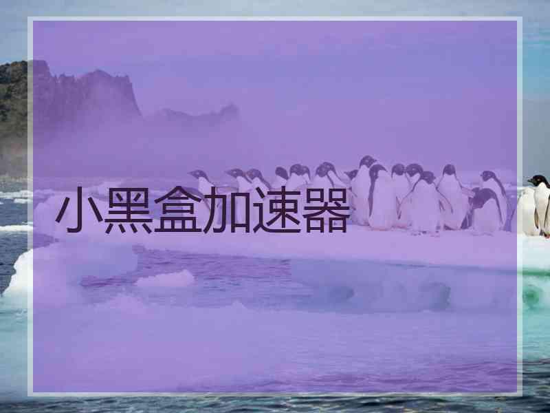 小黑盒加速器