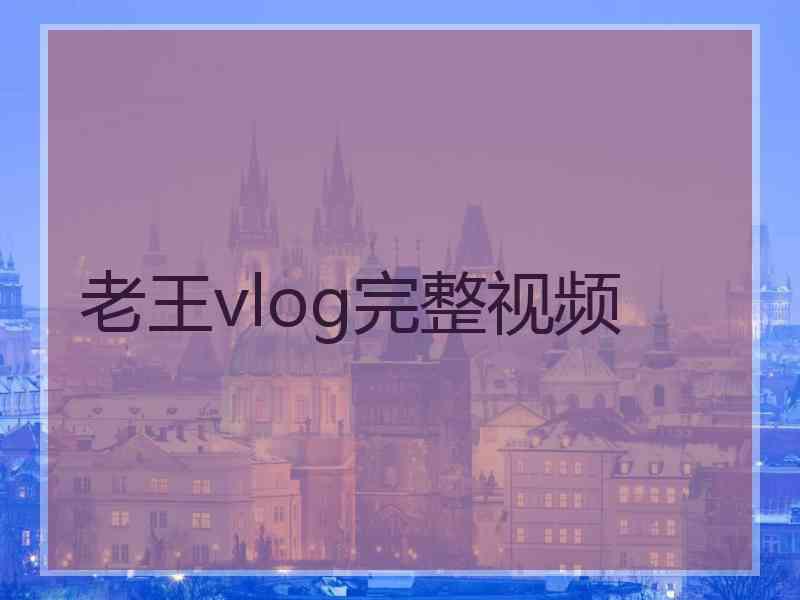 老王vlog完整视频