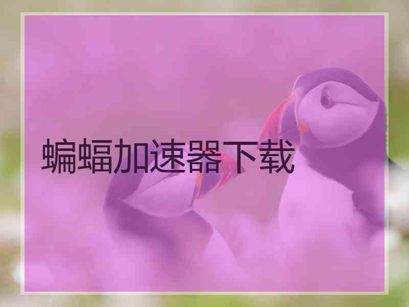 蝙蝠加速器下载