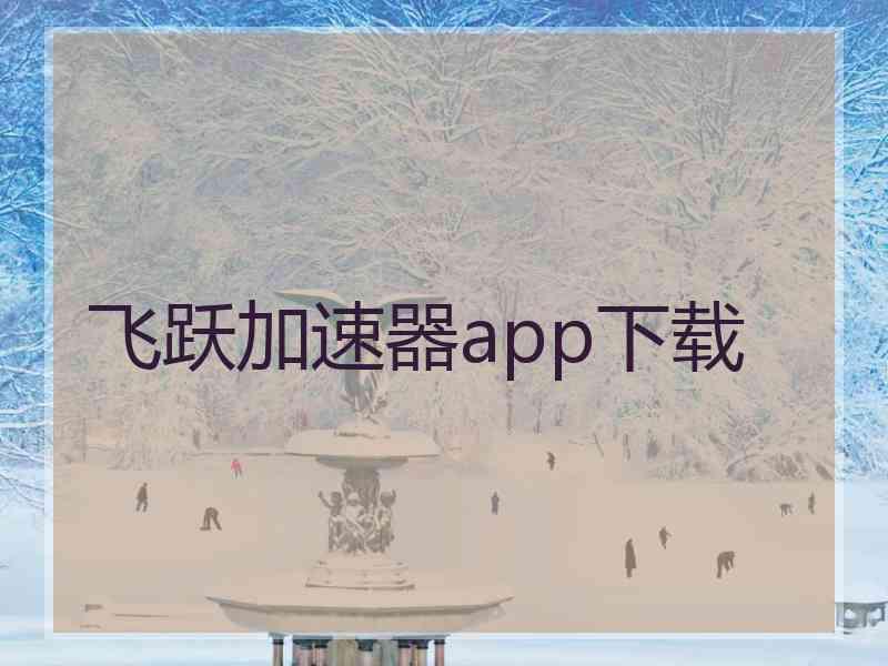 飞跃加速器app下载
