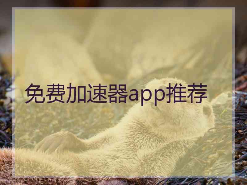 免费加速器app推荐