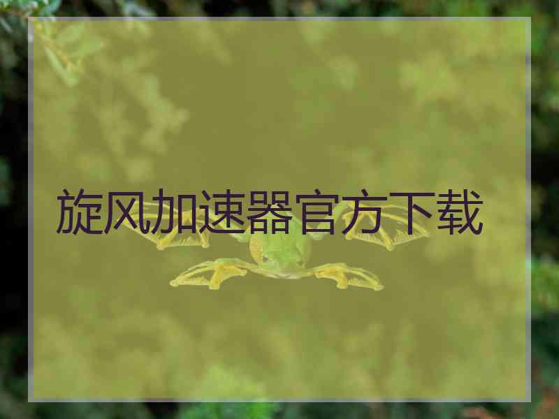 旋风加速器官方下载