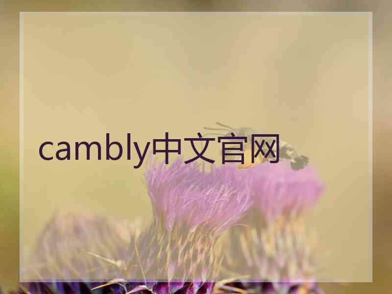 cambly中文官网