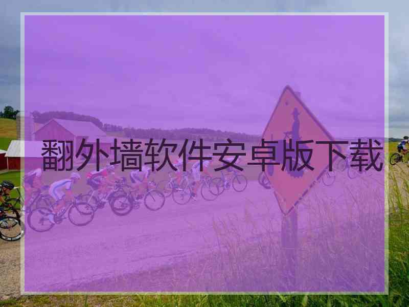 翻外墙软件安卓版下载