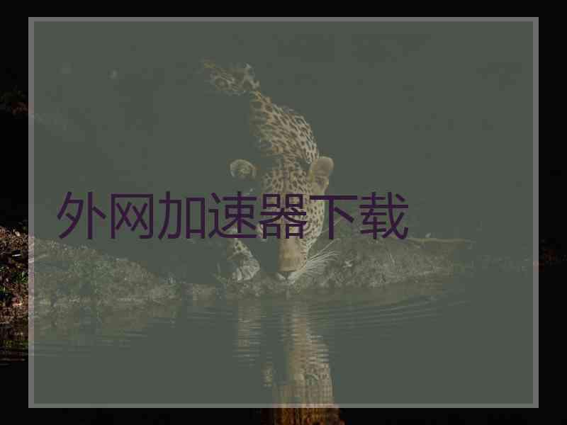 外网加速器下载