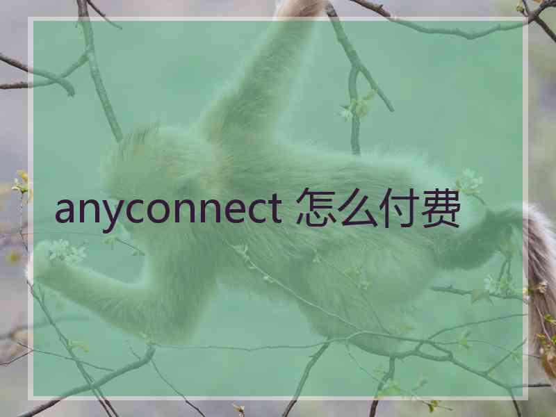 anyconnect 怎么付费