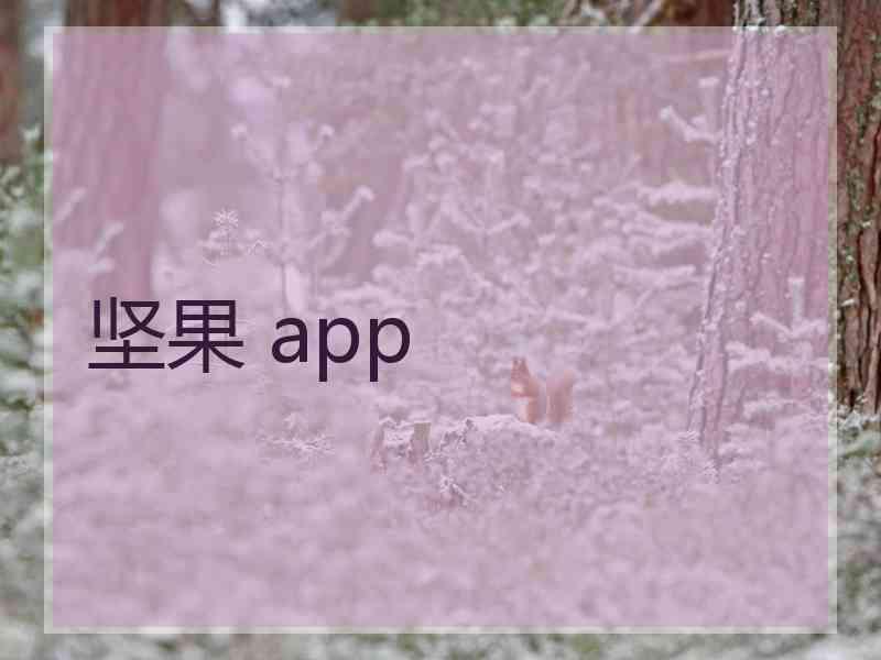 坚果 app