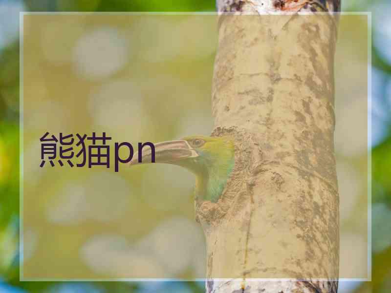 熊猫pn