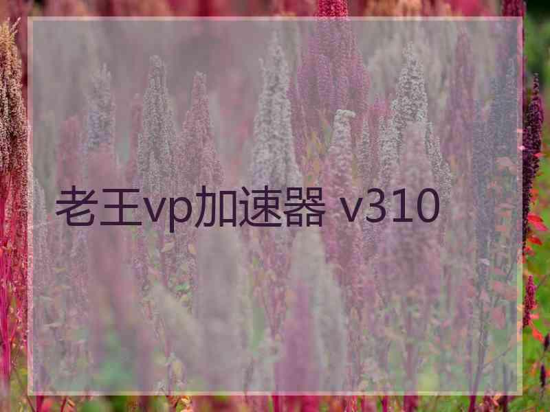 老王vp加速器 v310