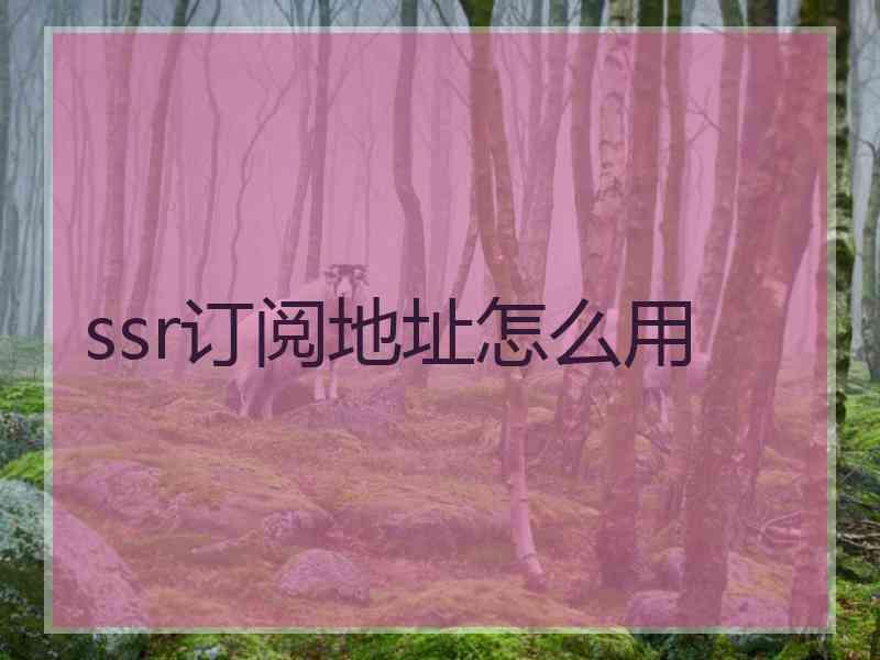 ssr订阅地址怎么用