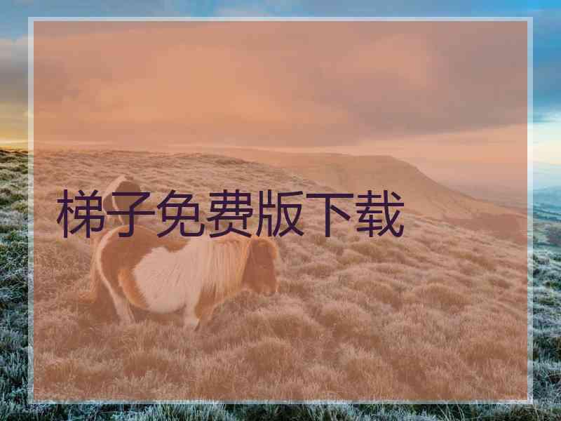 梯子免费版下载