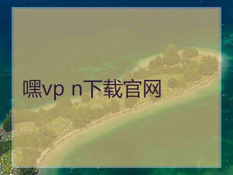 嘿vp n下载官网