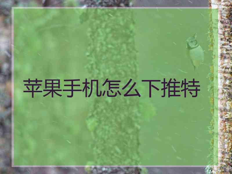 苹果手机怎么下推特