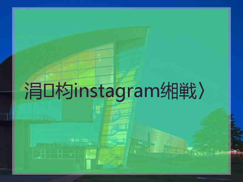 涓枃instagram缃戦〉
