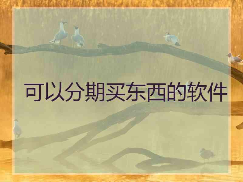 可以分期买东西的软件
