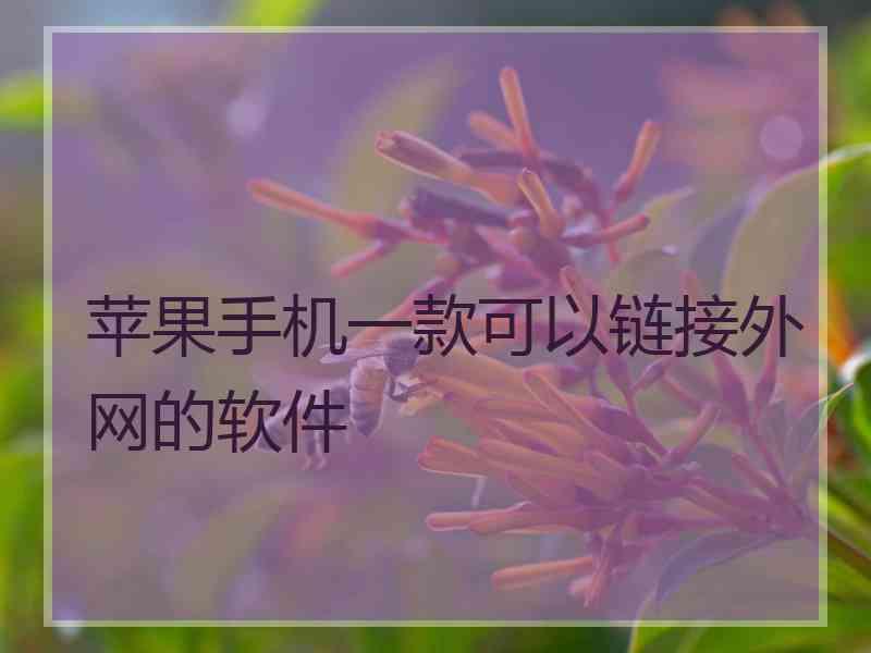 苹果手机一款可以链接外网的软件