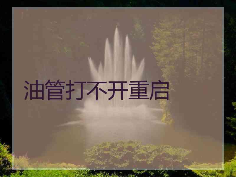 油管打不开重启