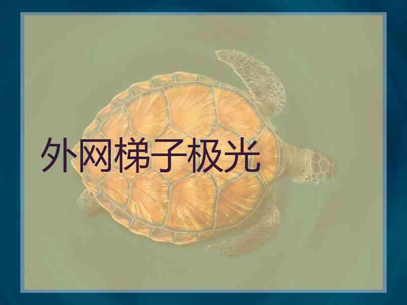 外网梯子极光