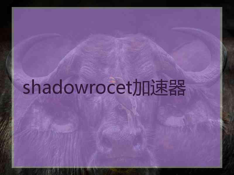 shadowrocet加速器