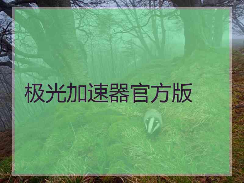 极光加速器官方版