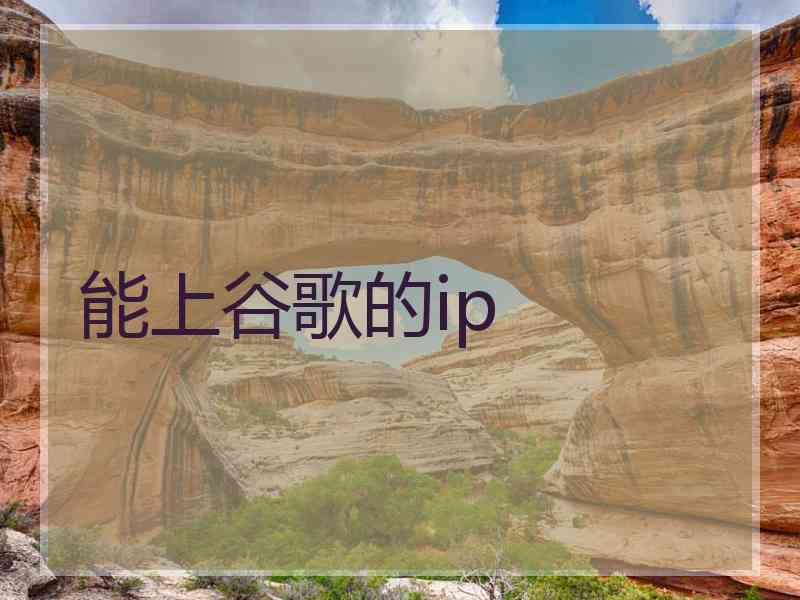 能上谷歌的ip