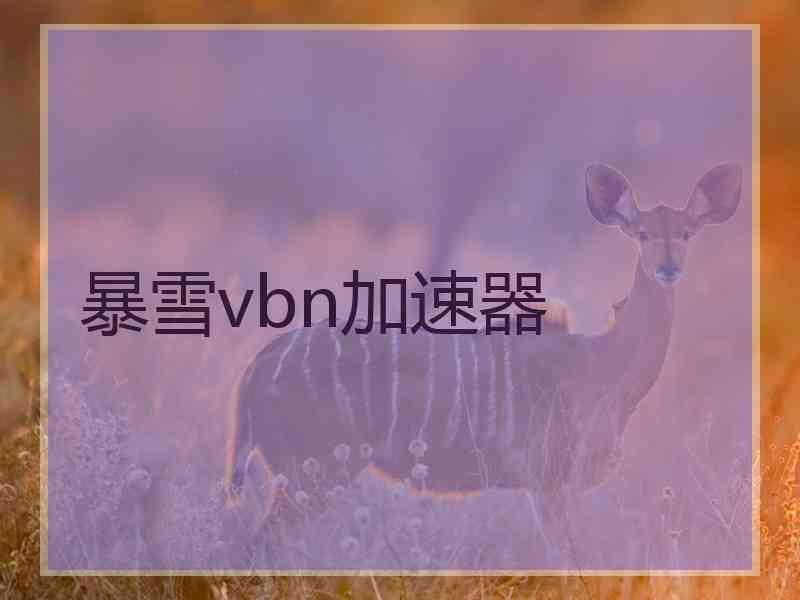 暴雪vbn加速器
