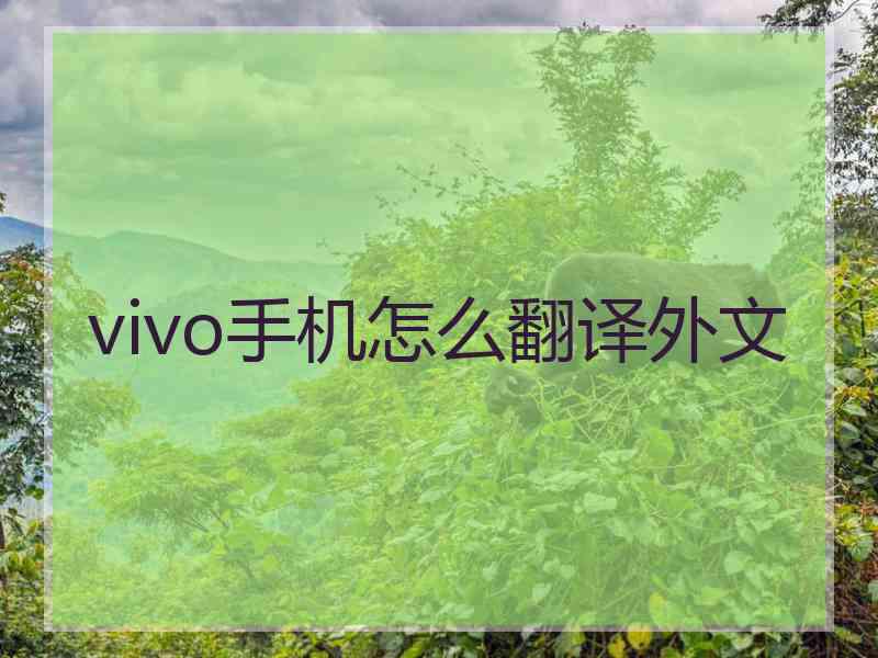 vivo手机怎么翻译外文