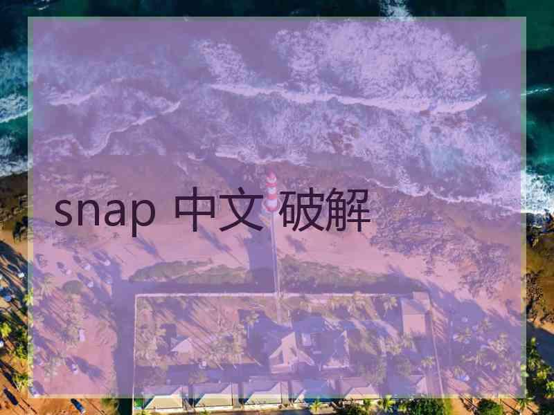 snap 中文 破解