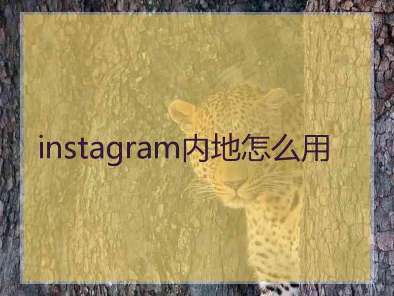 instagram内地怎么用