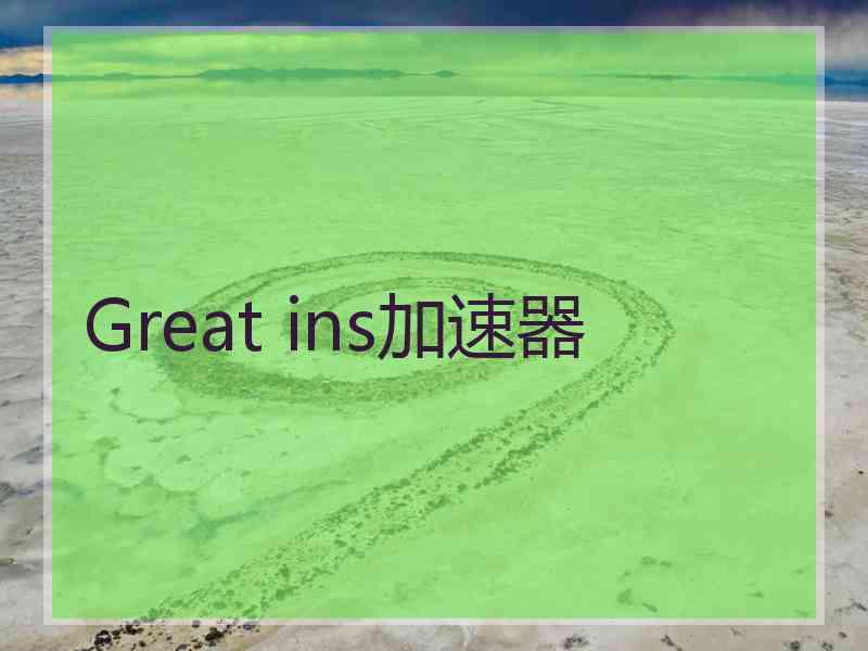 Great ins加速器