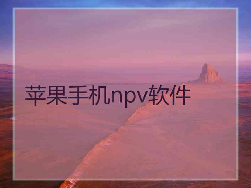 苹果手机npv软件