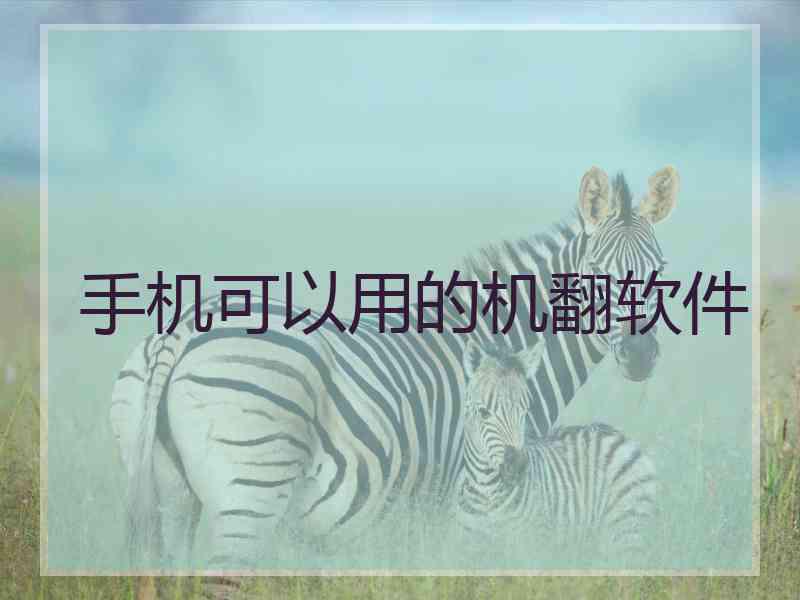 手机可以用的机翻软件