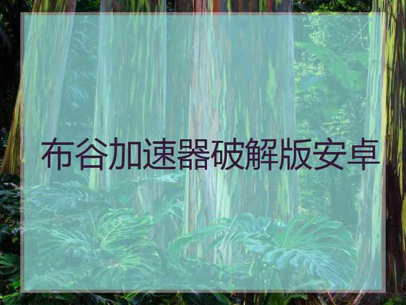 布谷加速器破解版安卓